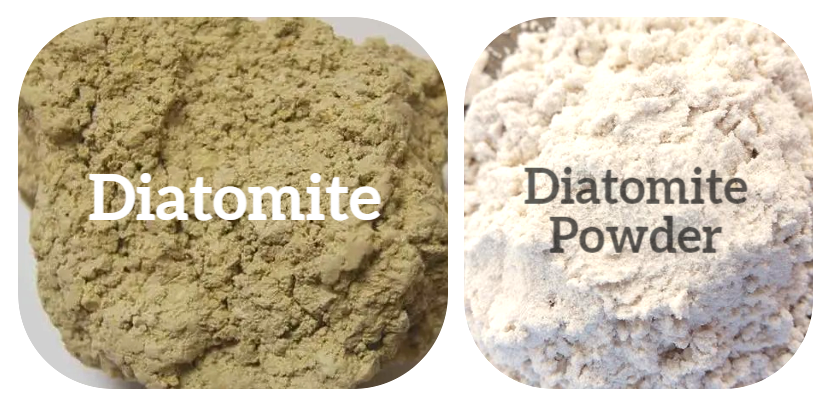 diatomite.png diatomite.png