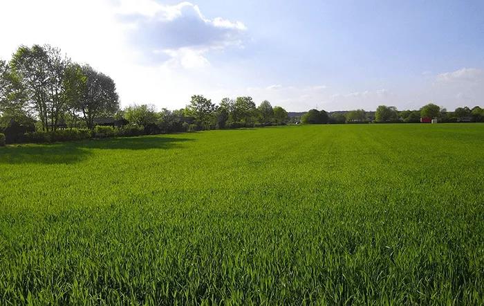 agriculture agriculture